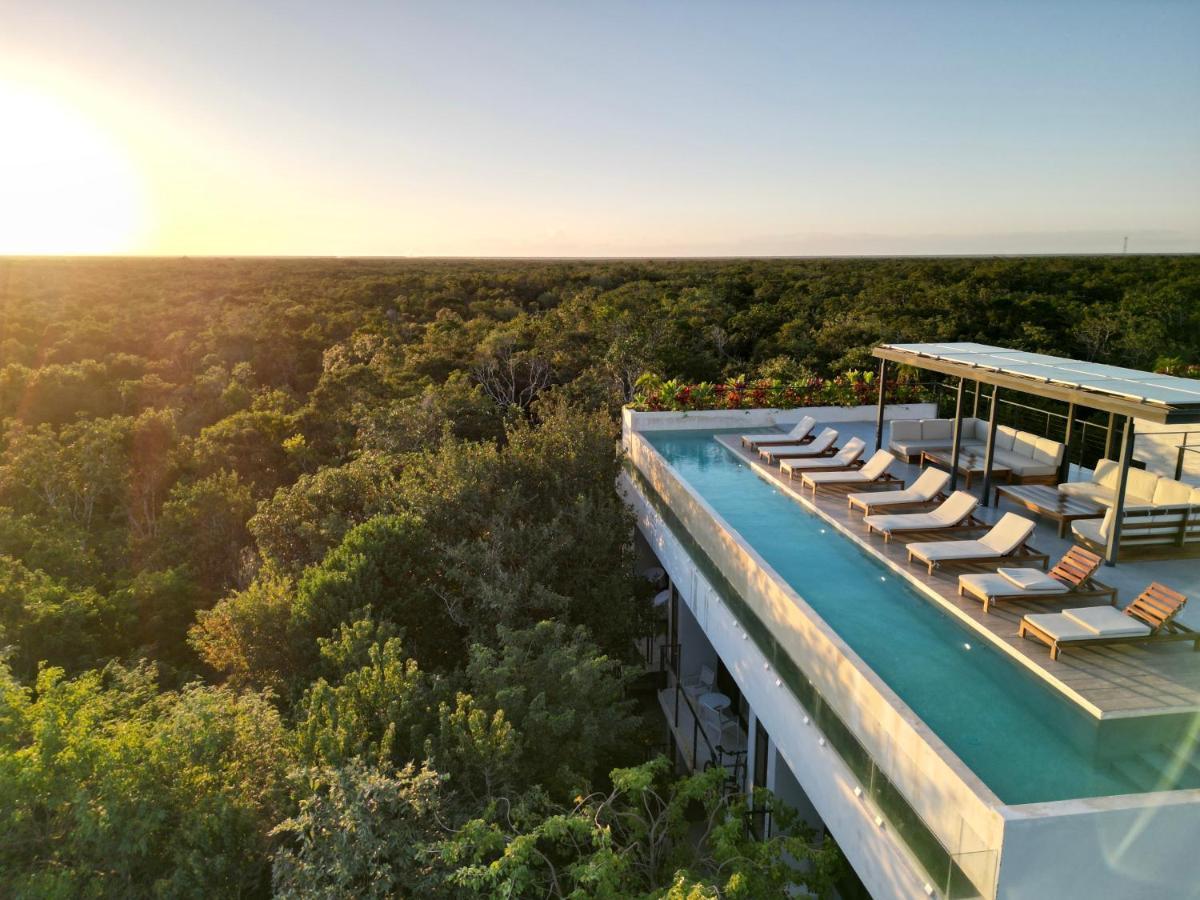 Stylish And Peaceful Jungle Studio At 525 تولوم المظهر الخارجي الصورة